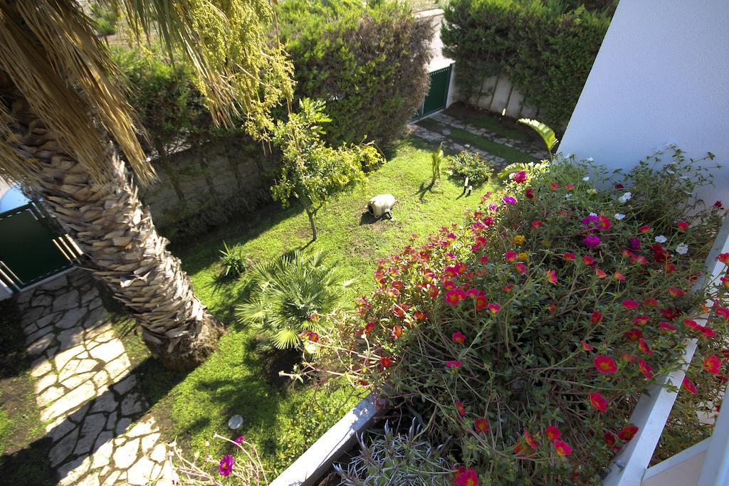B&B Villa Genny A Pochi Passi Dal Mare San Cataldo  Chambre photo
