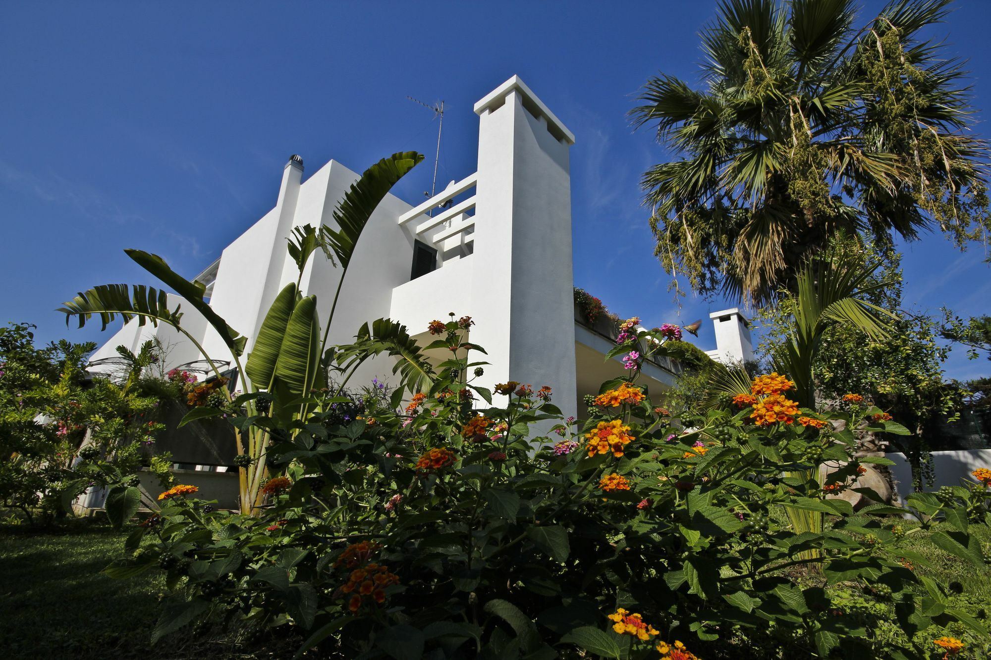 B&B Villa Genny A Pochi Passi Dal Mare San Cataldo  Extérieur photo